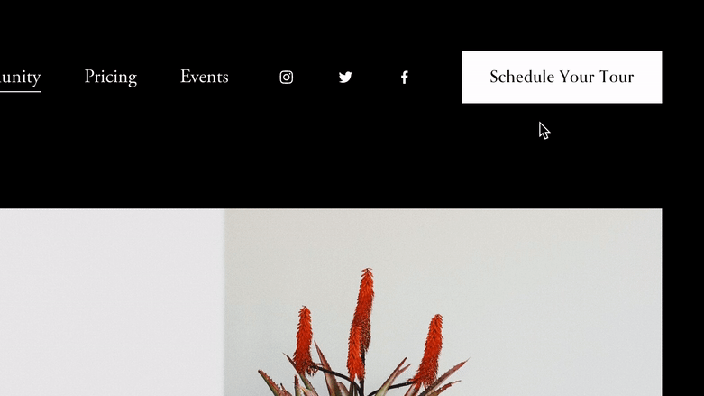 Shrinking Header Button On Hover preview