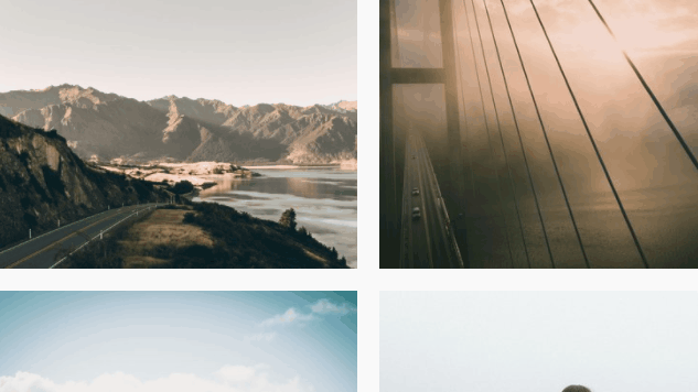 Highlighted / B&W Grid Gallery preview
